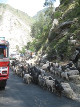 route srinagar Inde
